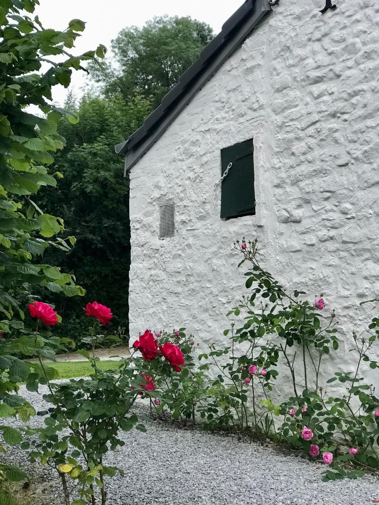 La Petite Maison Blanche Wanze 외부 사진